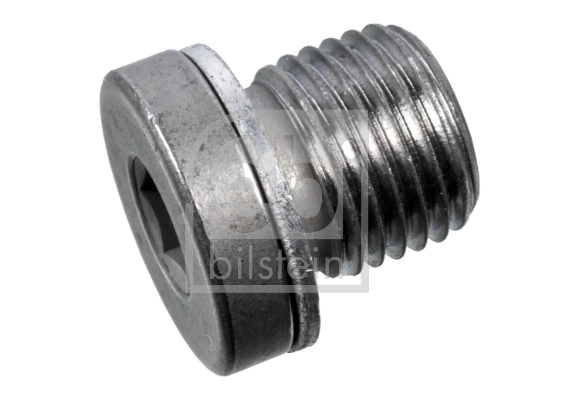 Screw Plug, automatic transmission casing